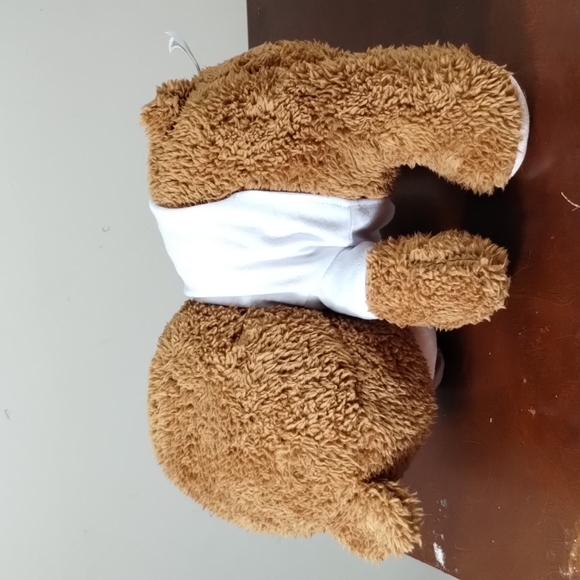 ✓PREXTEX 12-Inch Get Well Soon Plush Bear - Soft Stuffed Teddy Bear. - Picture 7 of 14